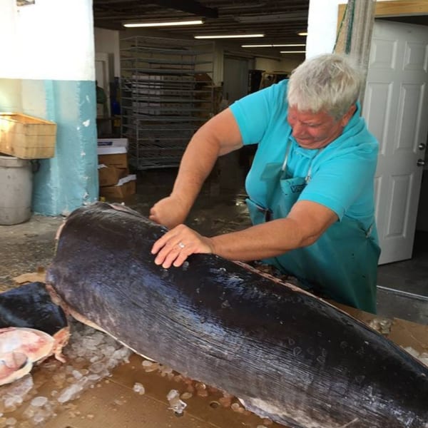 A person in a blue shirt and apron fillets a large tuna on a bed of ice.