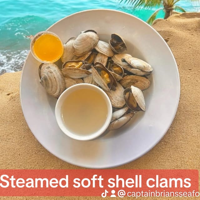 Steamers.
