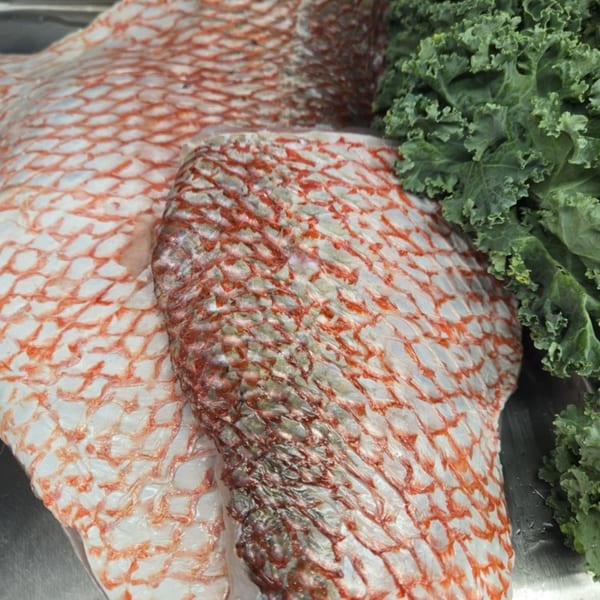 Fresh red snapper fillets with scales and a side of green kale at Captain Brian's.